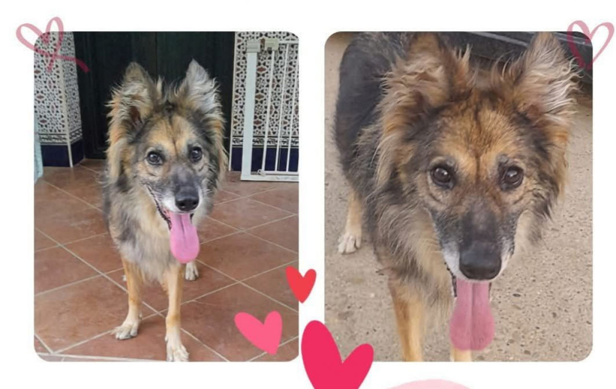 Photo #1 de SÉLÈNE