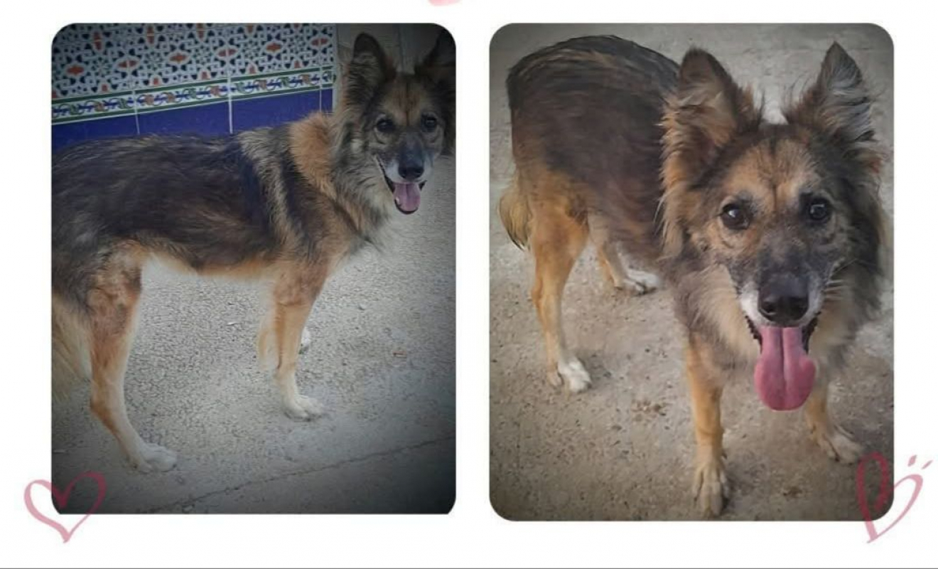 Photo #2 de SÉLÈNE