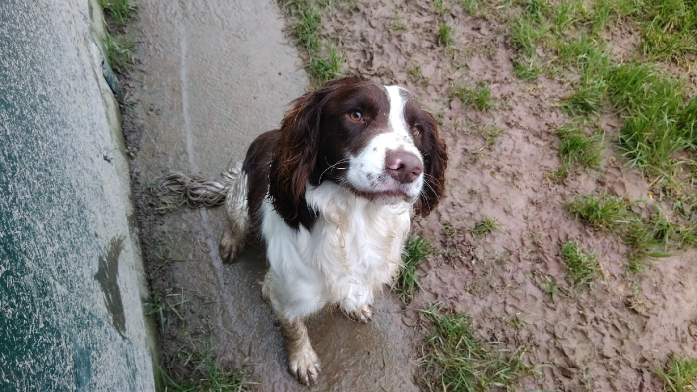 Photo de Aston réservé