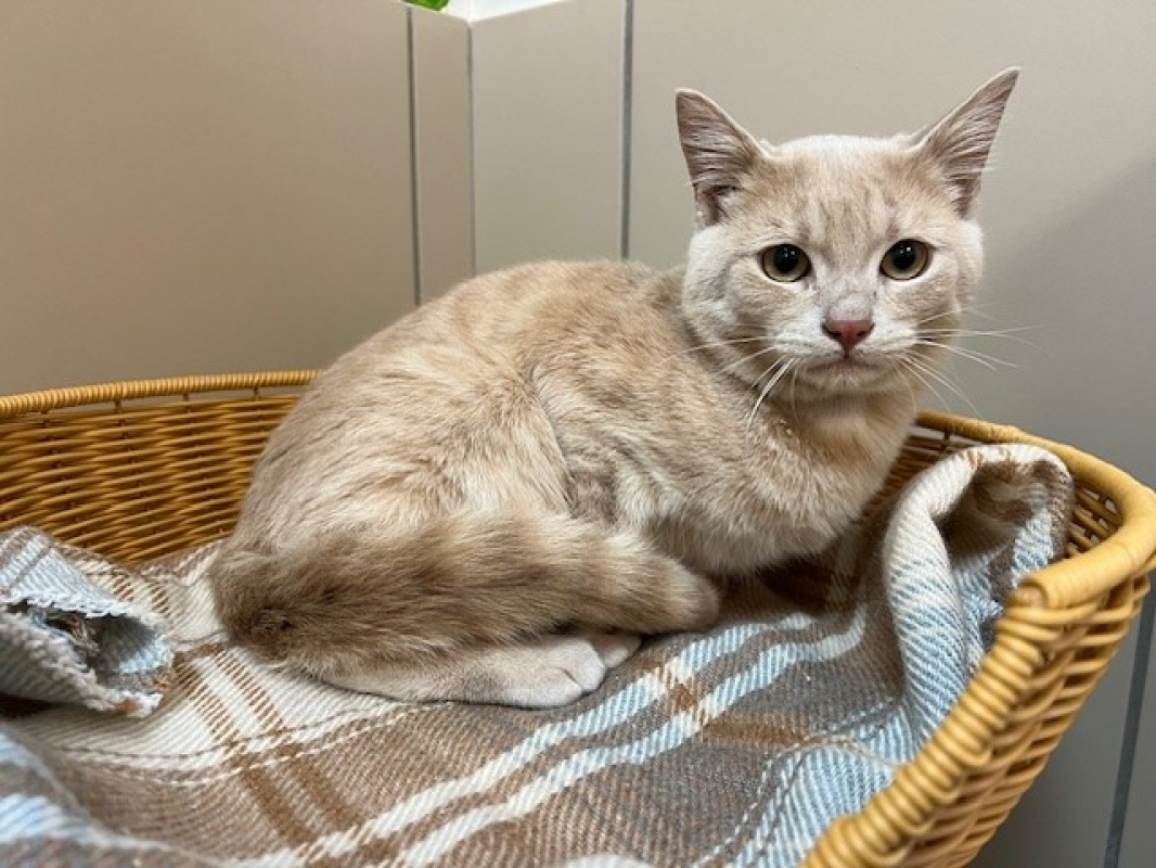 Photo de Pepito réservé