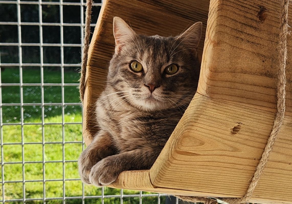 Photo #1 de Mary kate