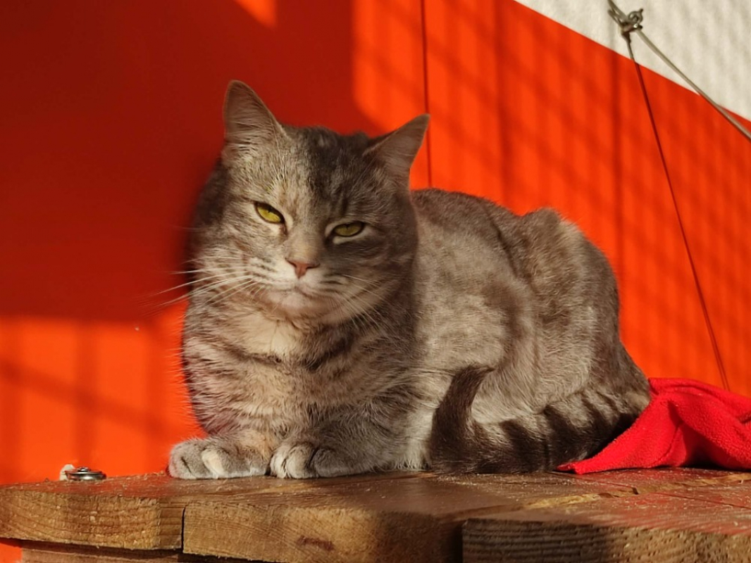 Photo #2 de Mary kate