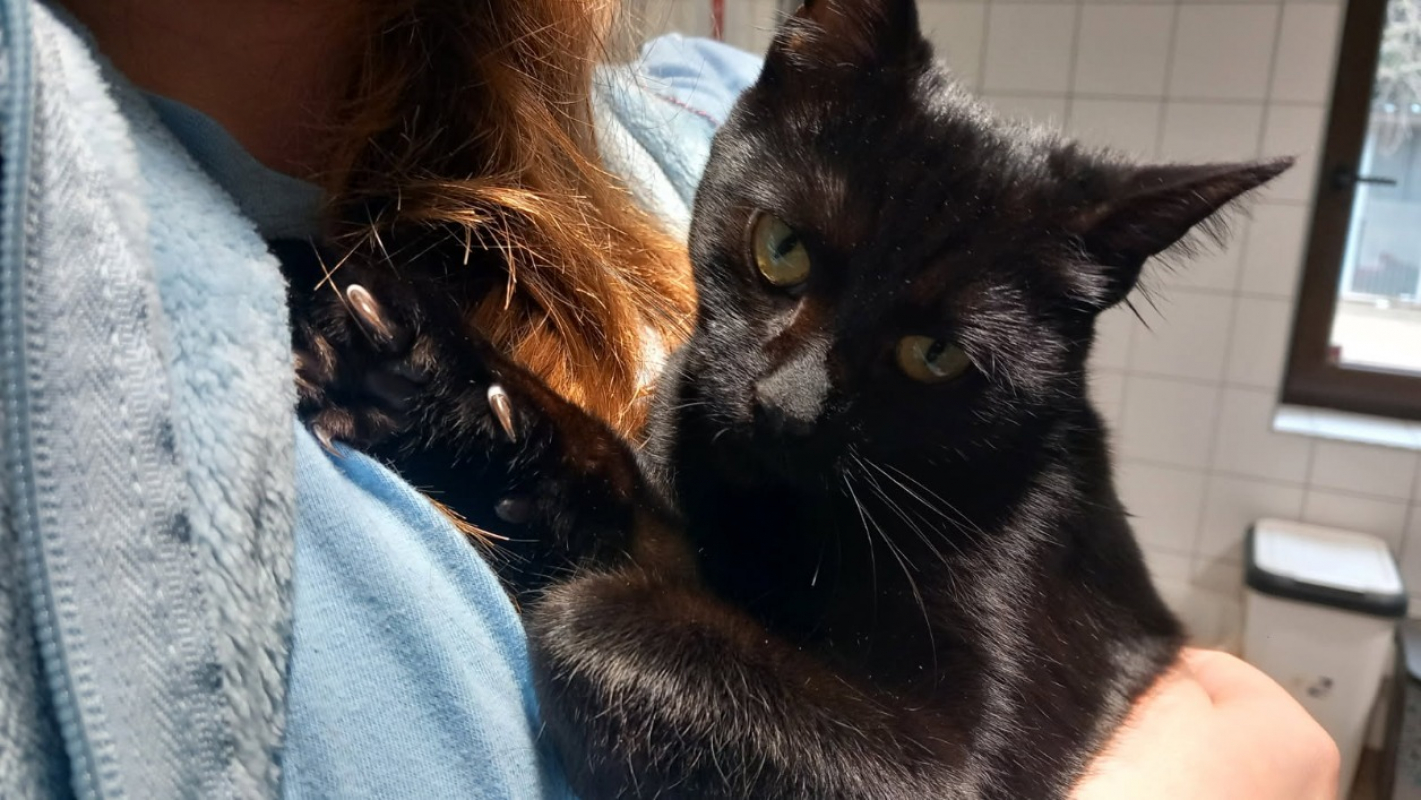 Photo de Elvira réservé