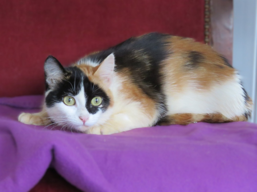 Photo #2 de Arnegonde