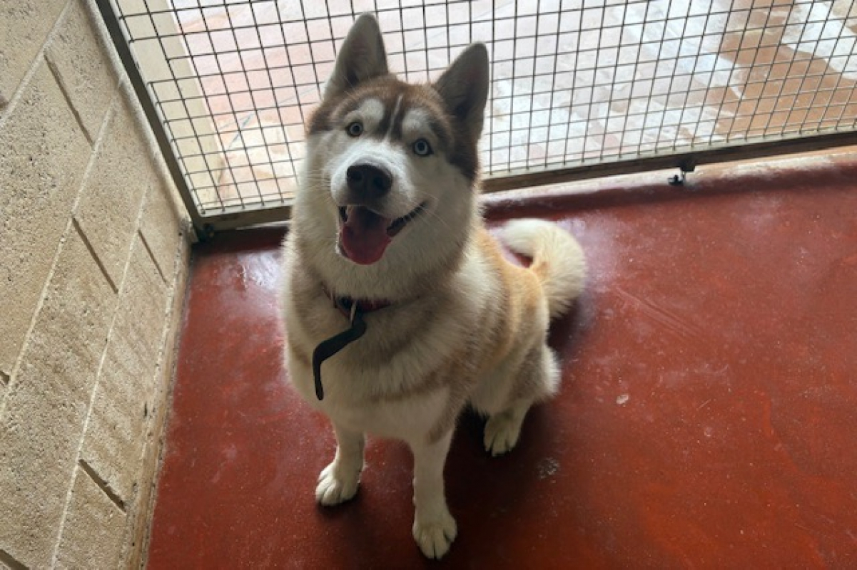 Photo #1 de Winsmoke dit wiwi