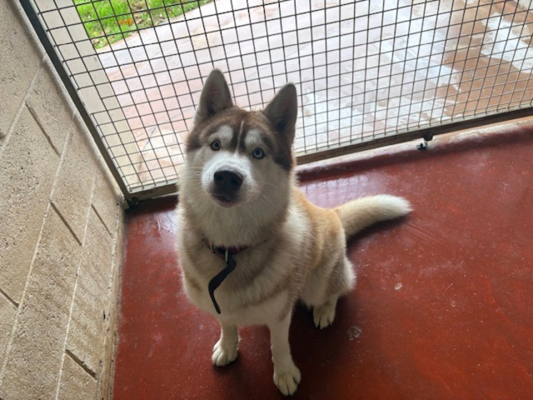 Photo #2 de Winsmoke dit wiwi