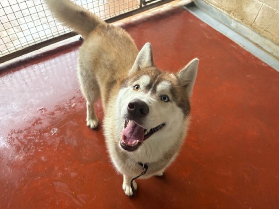 Photo #3 de Winsmoke dit wiwi