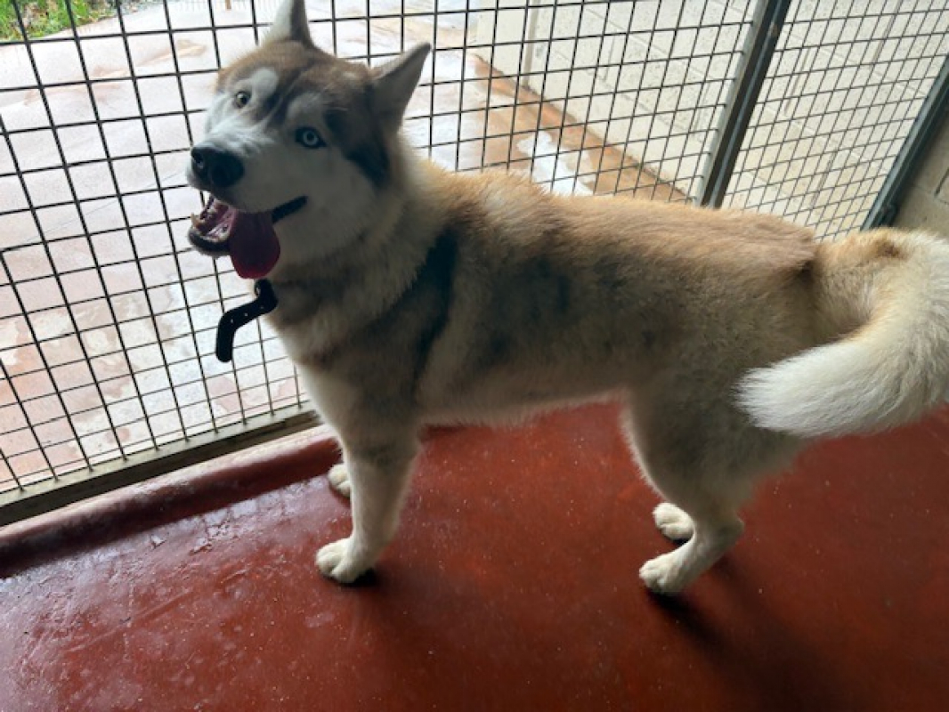 Photo #4 de Winsmoke dit wiwi