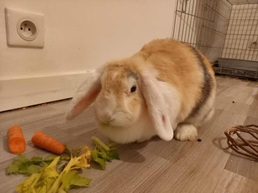 Photo #1 de Germaine