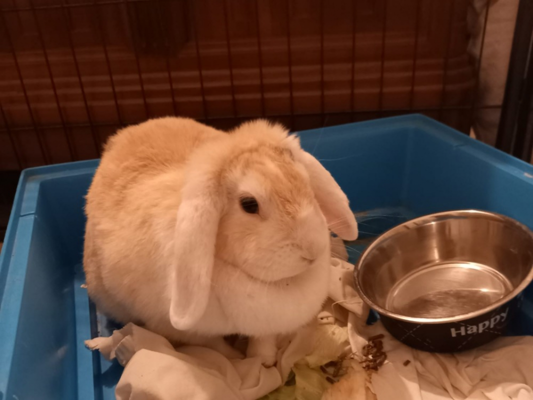 Photo #4 de Germaine