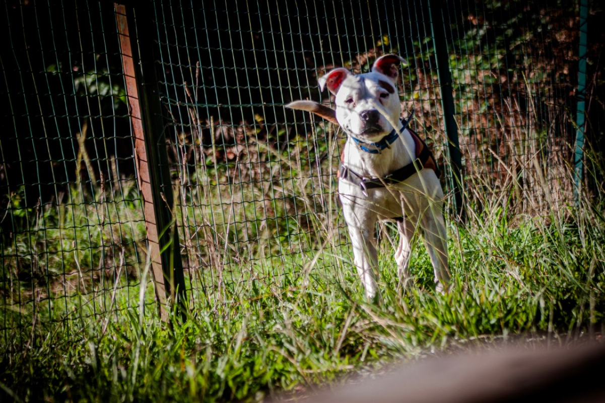 Photo #6 de Molly