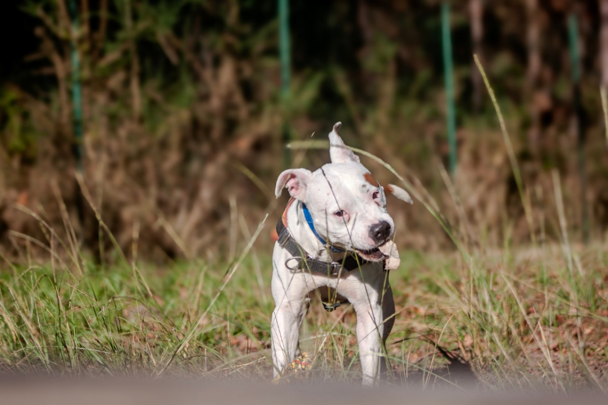 Photo #8 de Molly