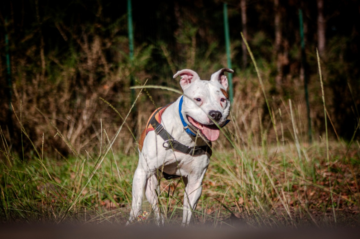 Photo #9 de Molly