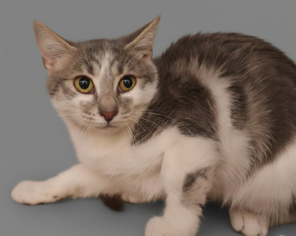 Photo de Christopher