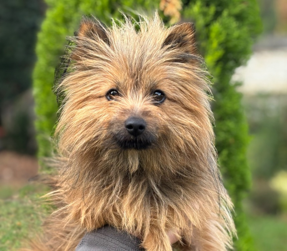 Photo de Chouba
