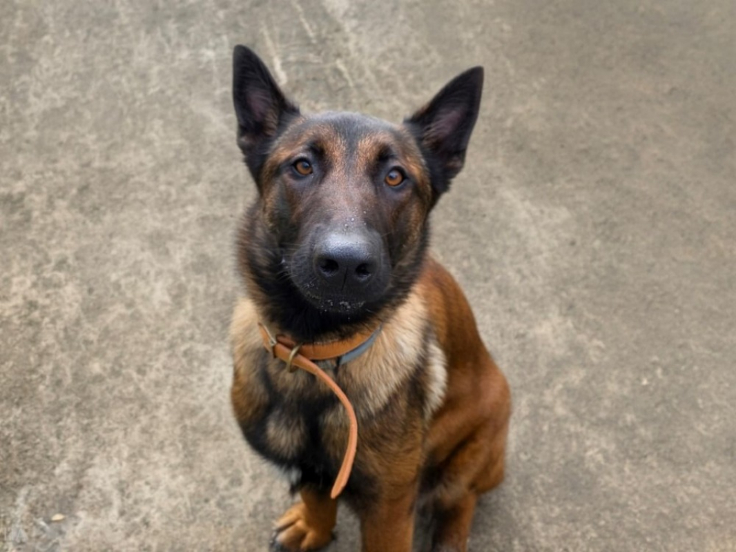 Photo #1 de Victoria