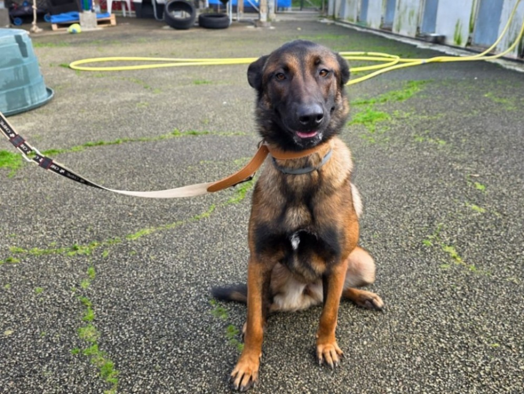 Photo #2 de Victoria