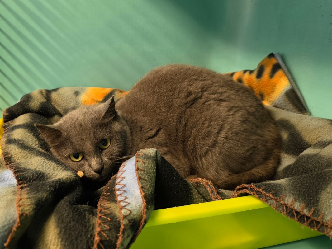 Photo #2 de Poudlard