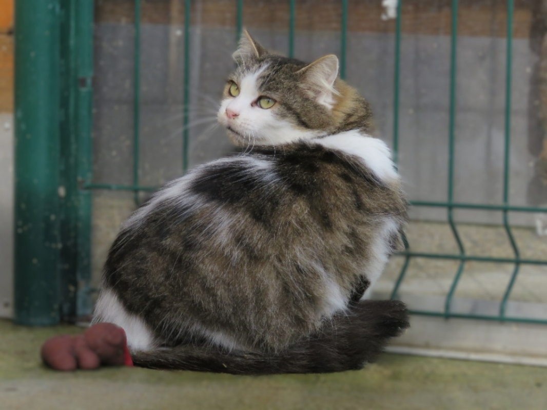 Photo #2 de Valhalla