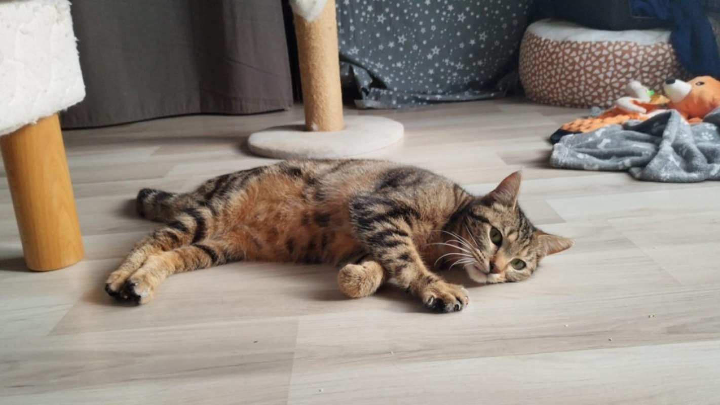 Photo #2 de Apolline