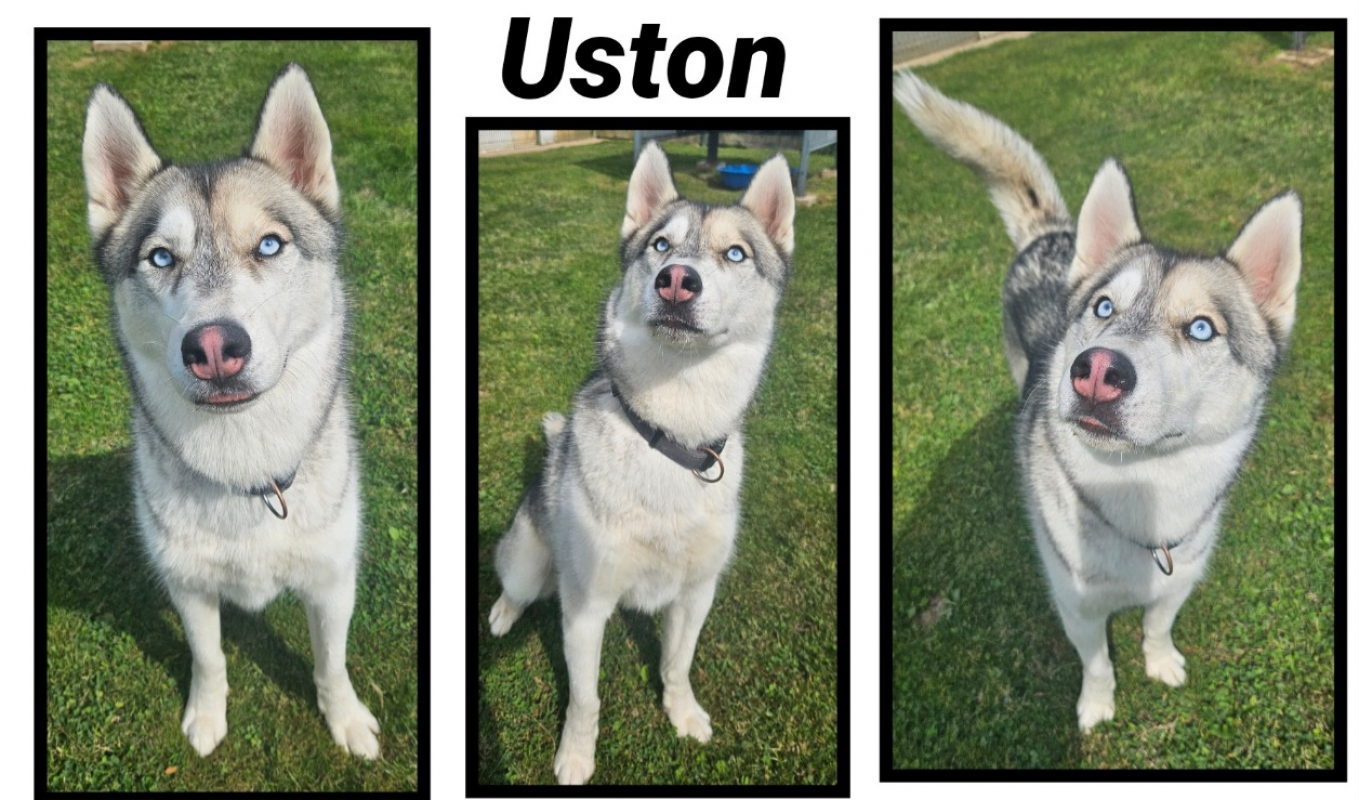 Photo de Uston