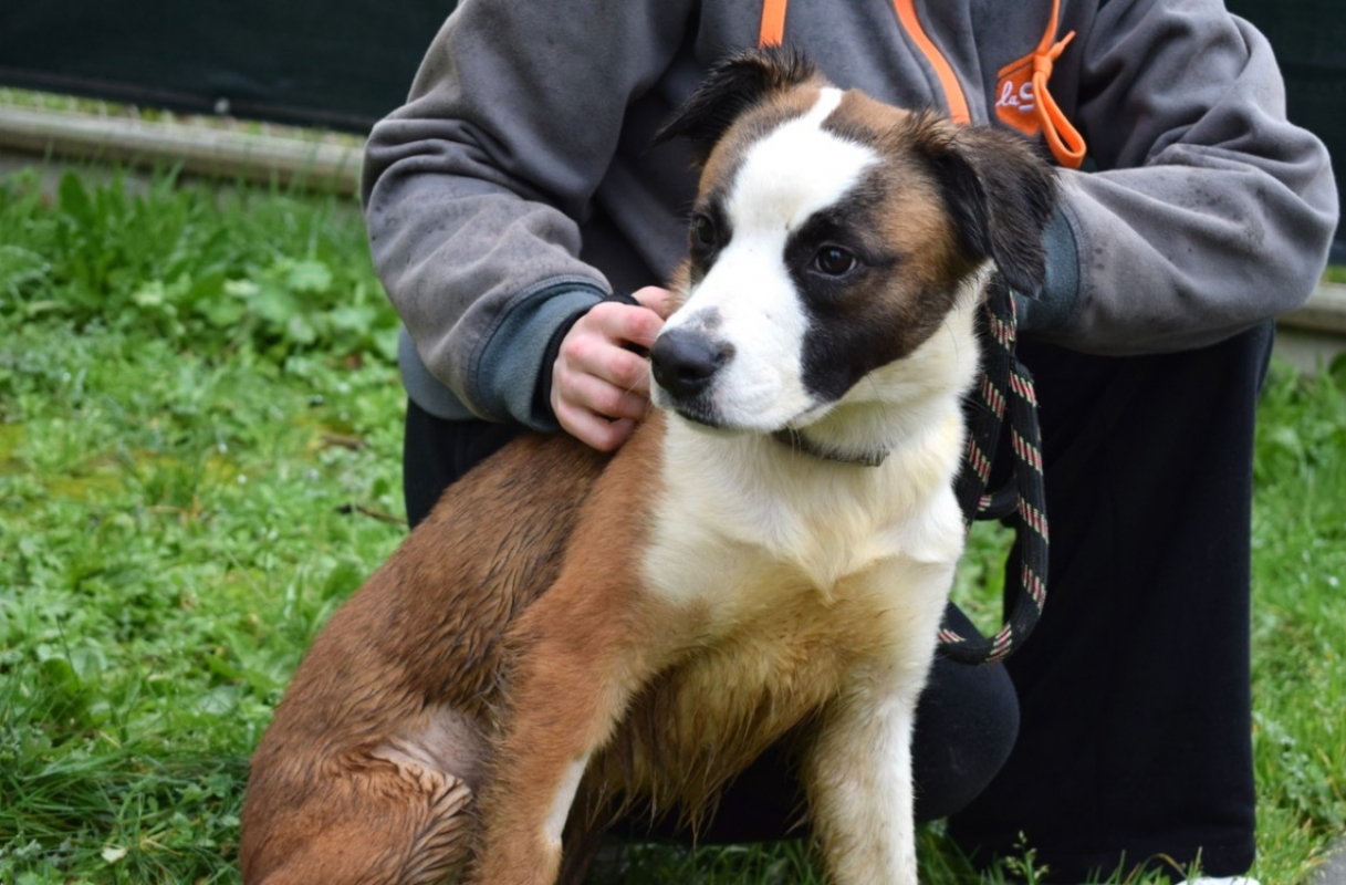 Photo #3 de Gaufrette