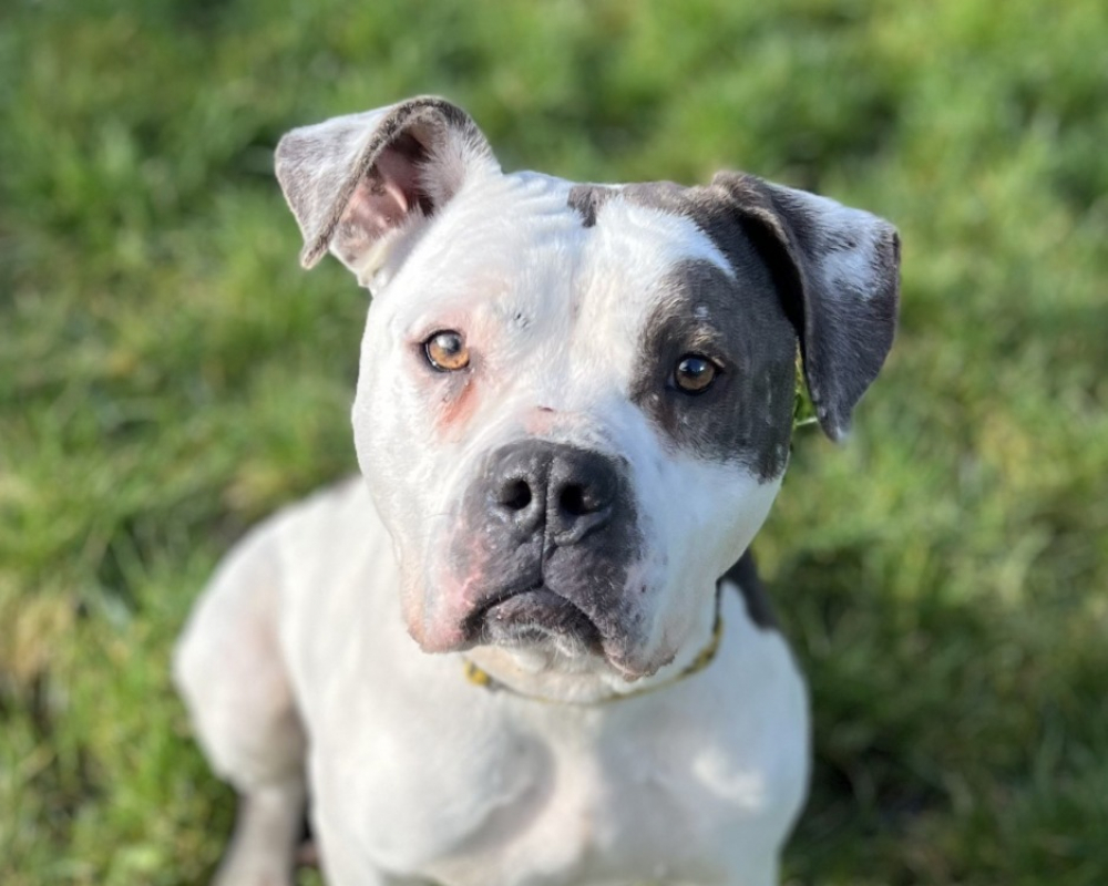 Photo #1 de Afrodite