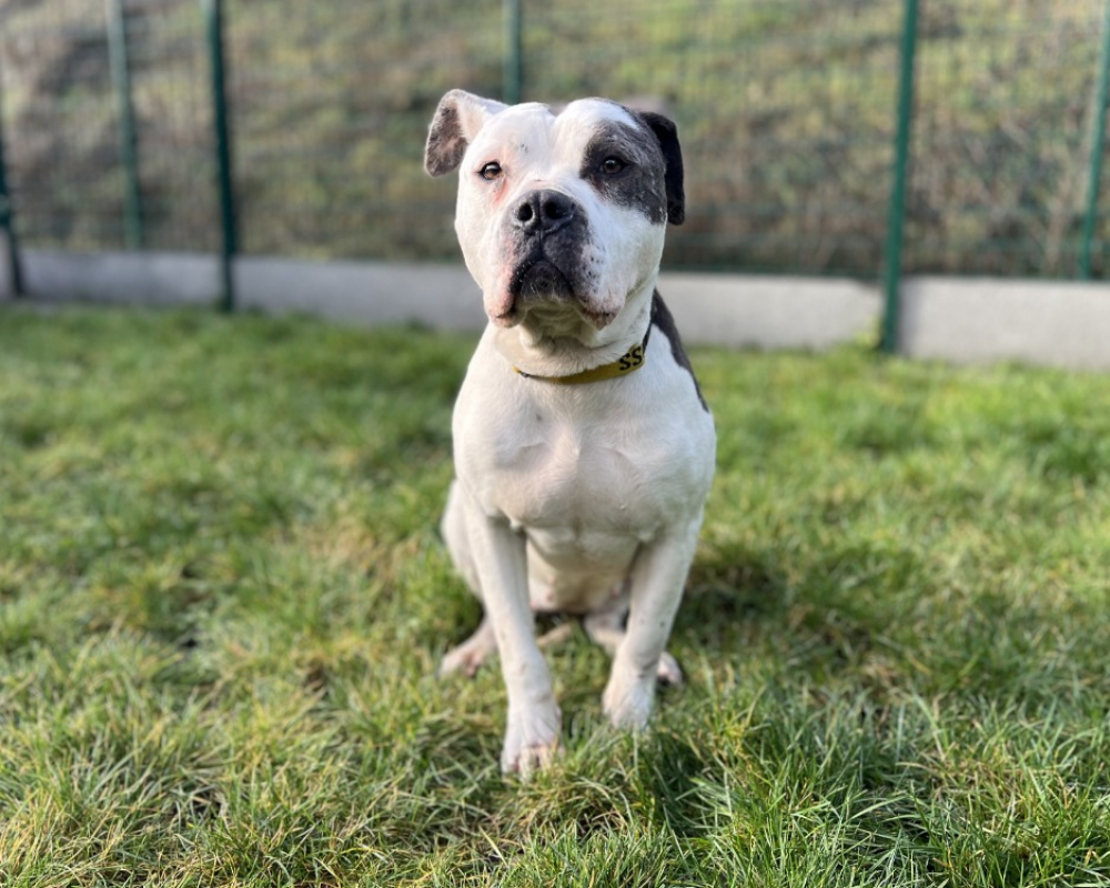 Photo #2 de Afrodite