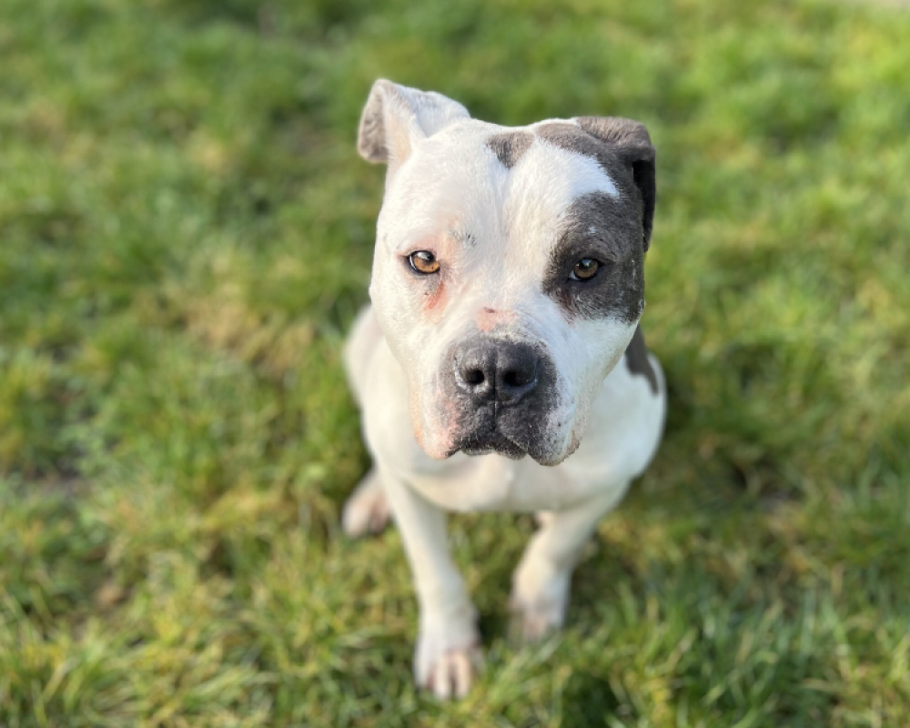 Photo #3 de Afrodite