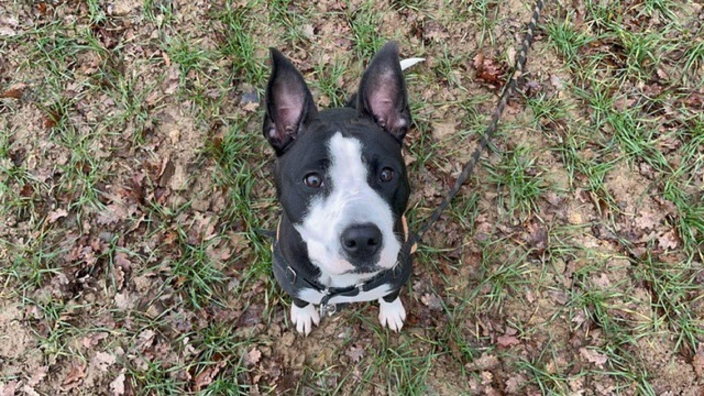 Photo #1 de Miami oaa