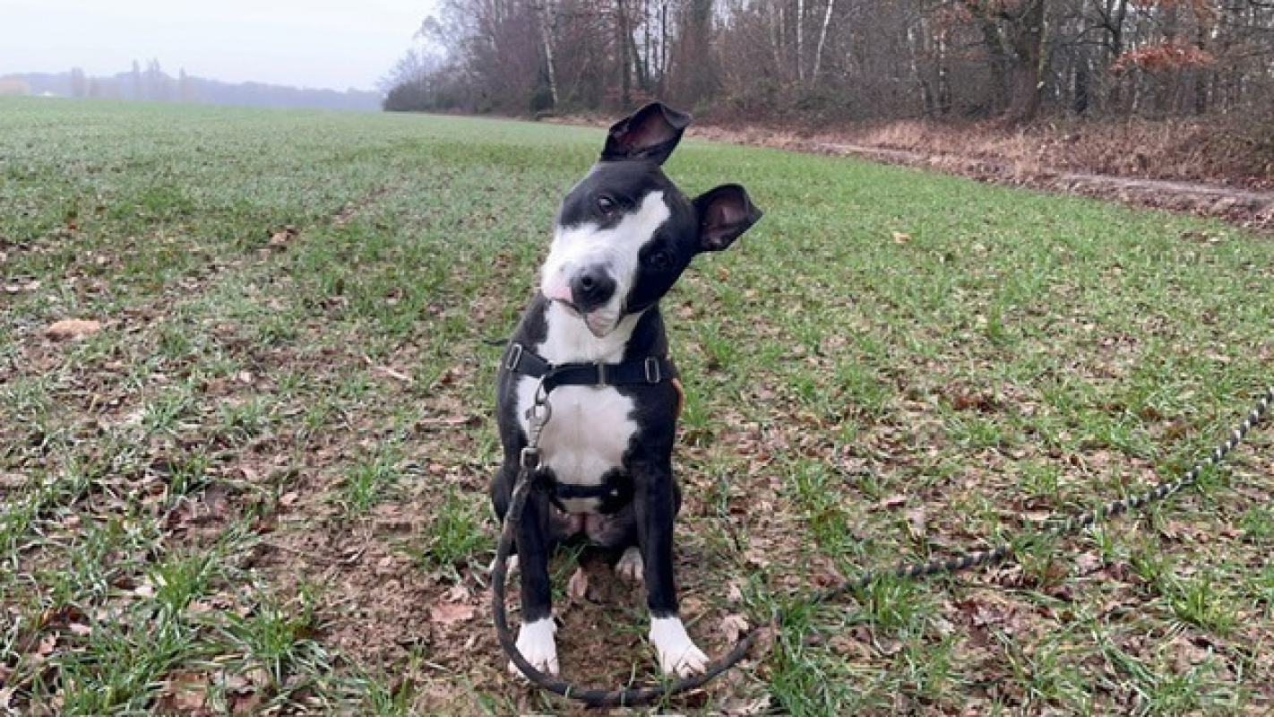 Photo #2 de Miami oaa