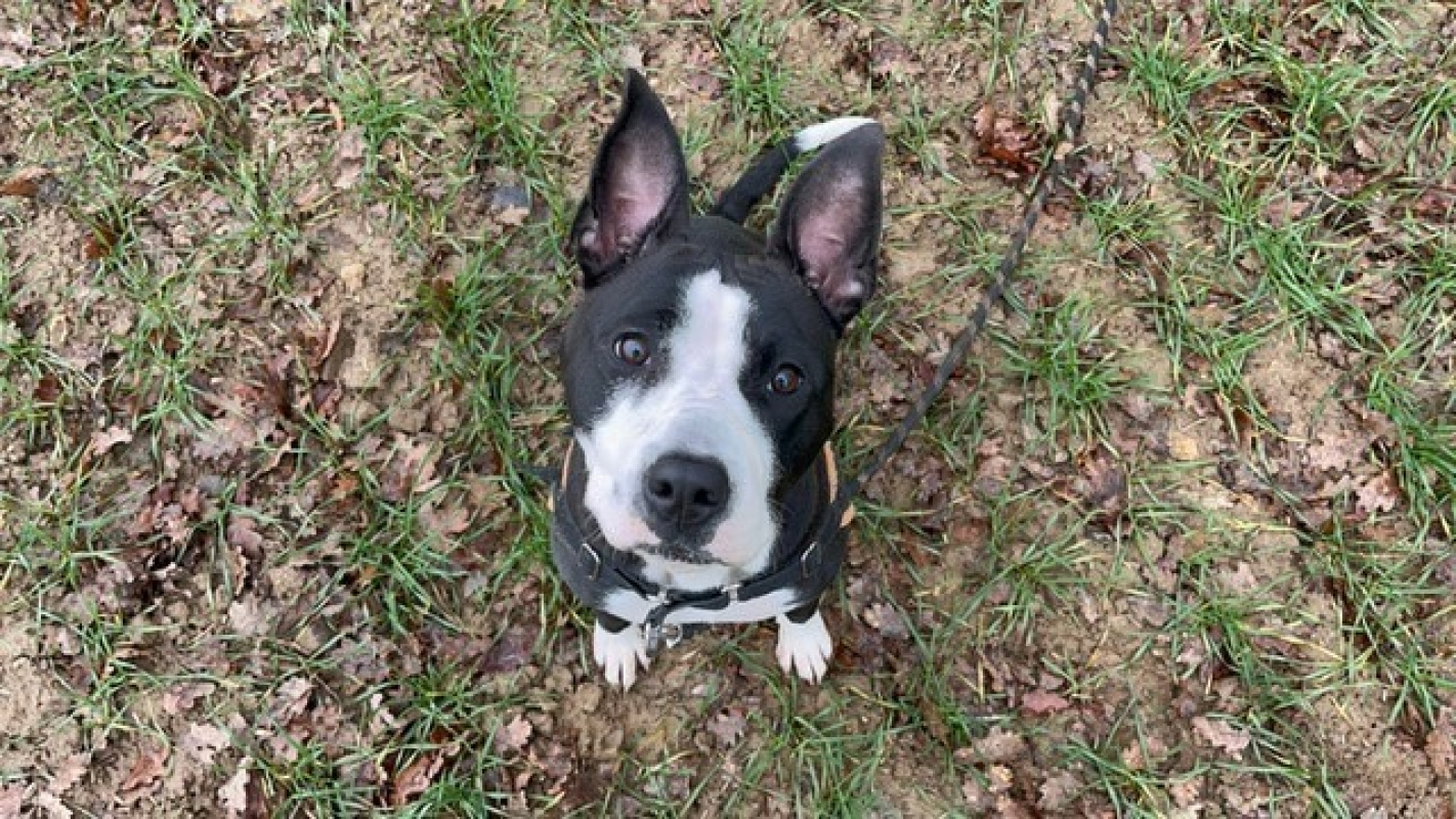 Photo #3 de Miami oaa