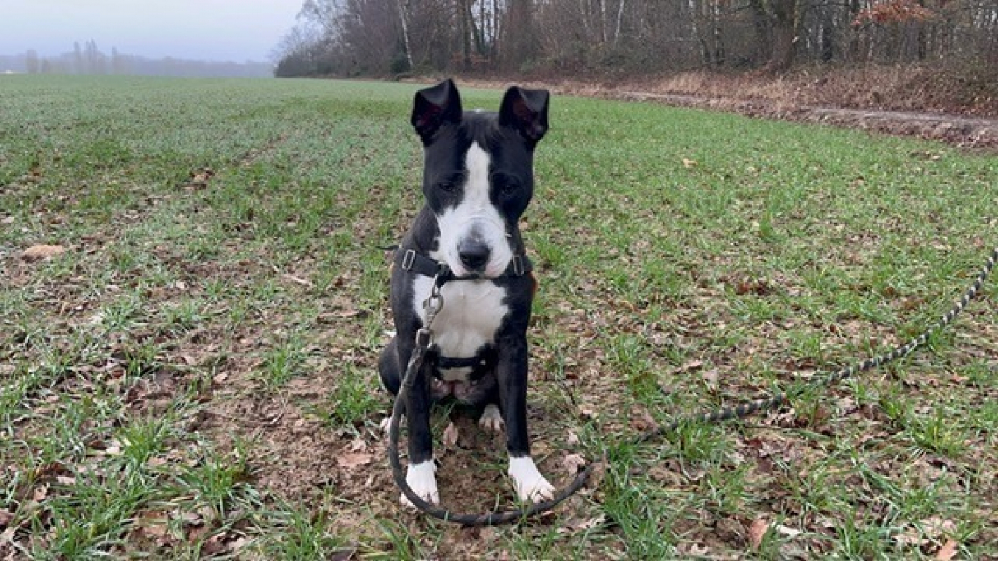 Photo #4 de Miami oaa