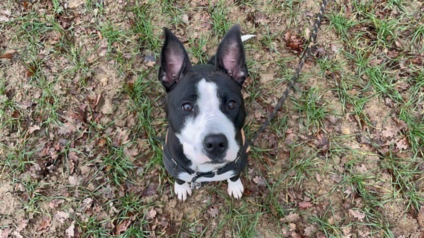 Photo #5 de Miami oaa