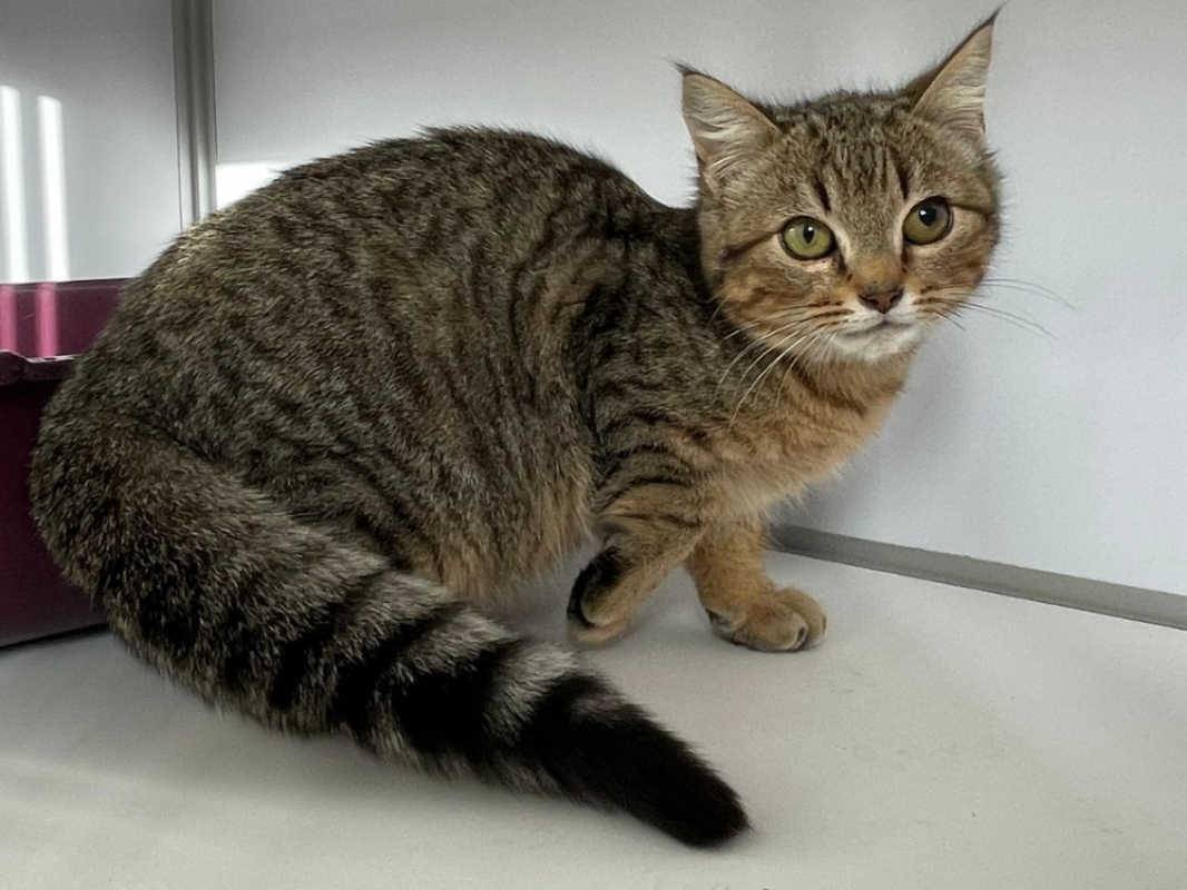 Photo #1 de Bidouille