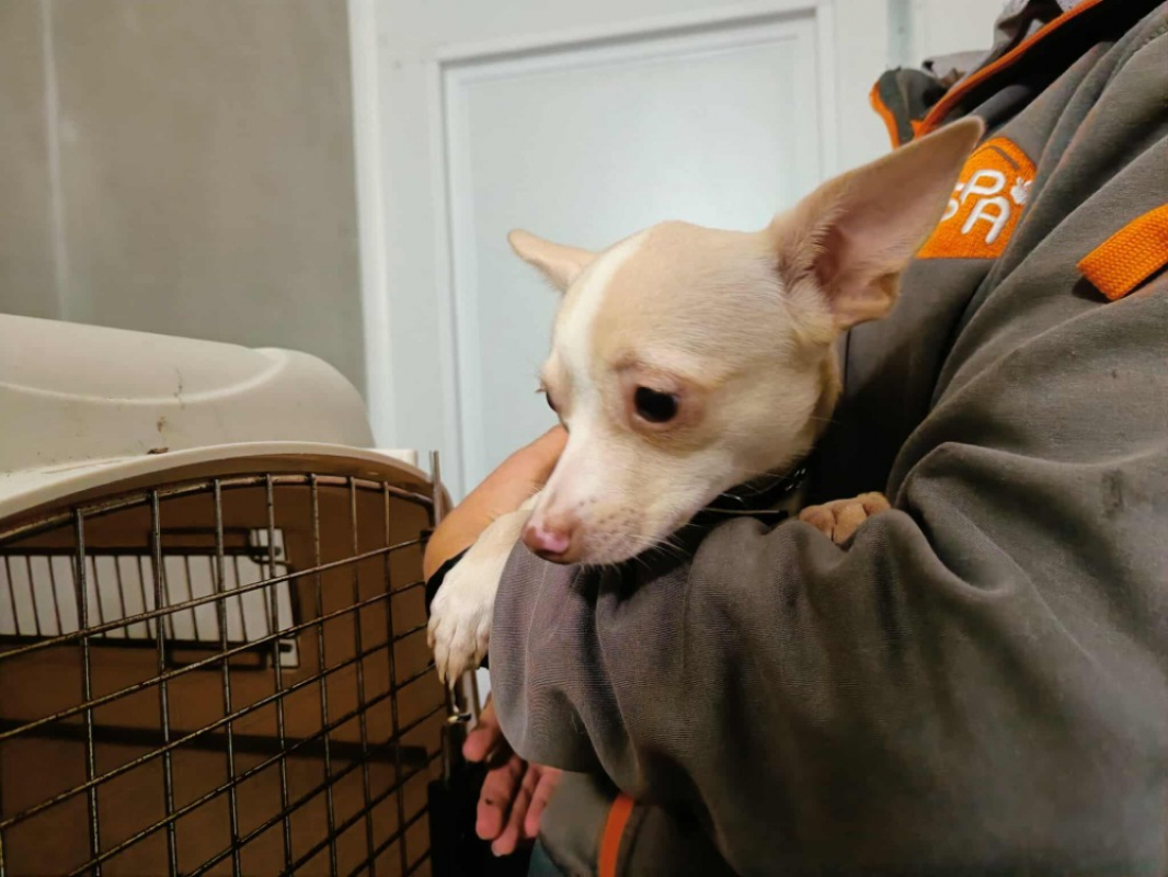 Photo de Tic tac qcn