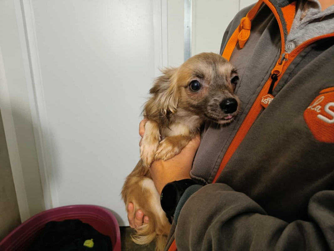 Photo #1 de Athena qcn