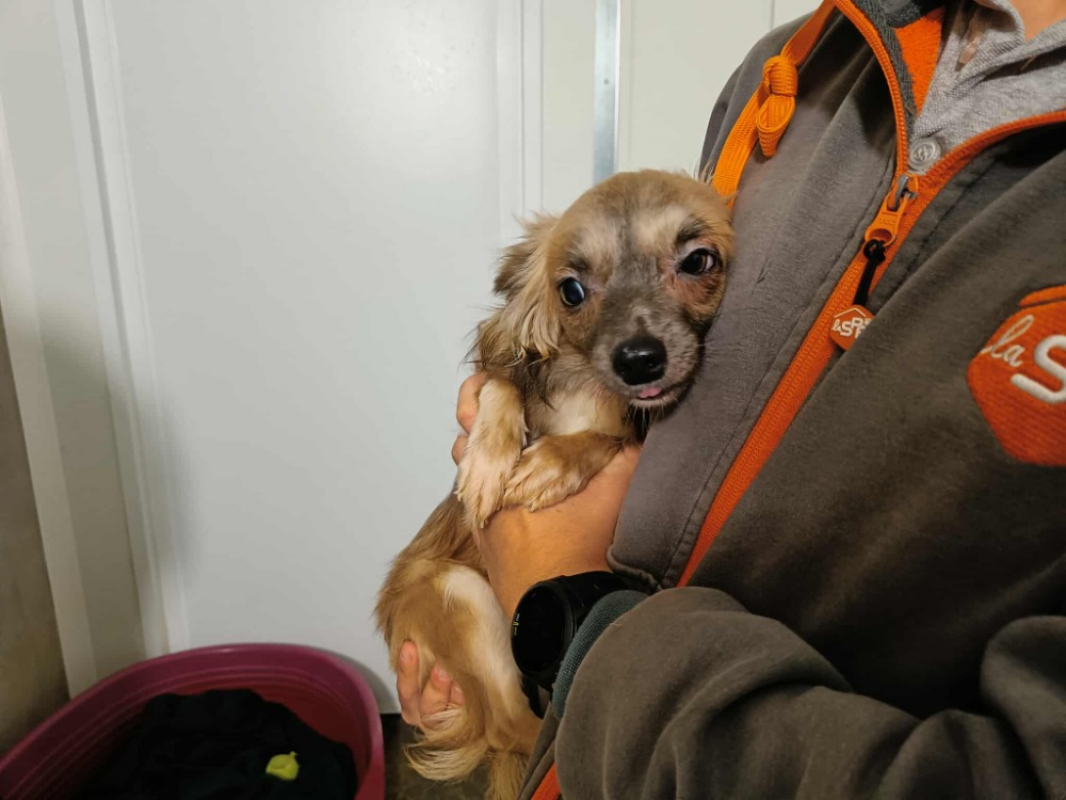 Photo #2 de Athena qcn