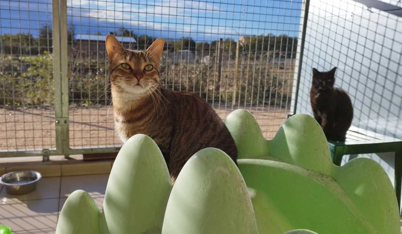 Photo #1 de Samantha