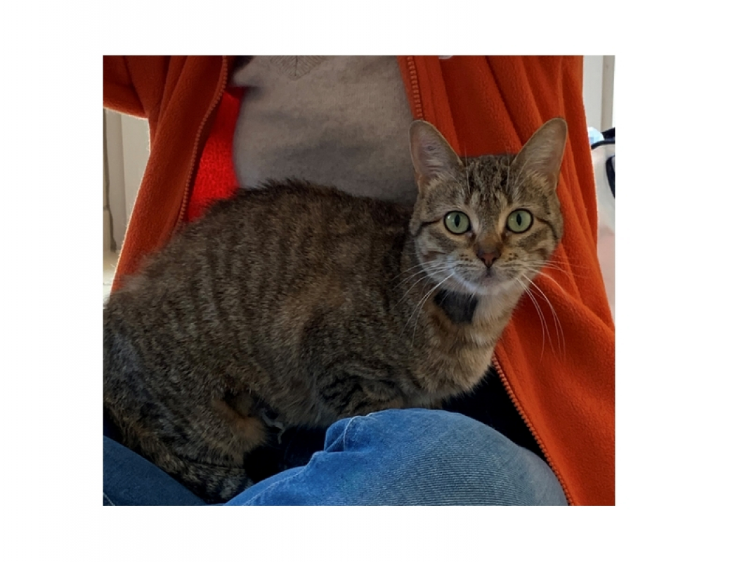 Photo #2 de Samantha