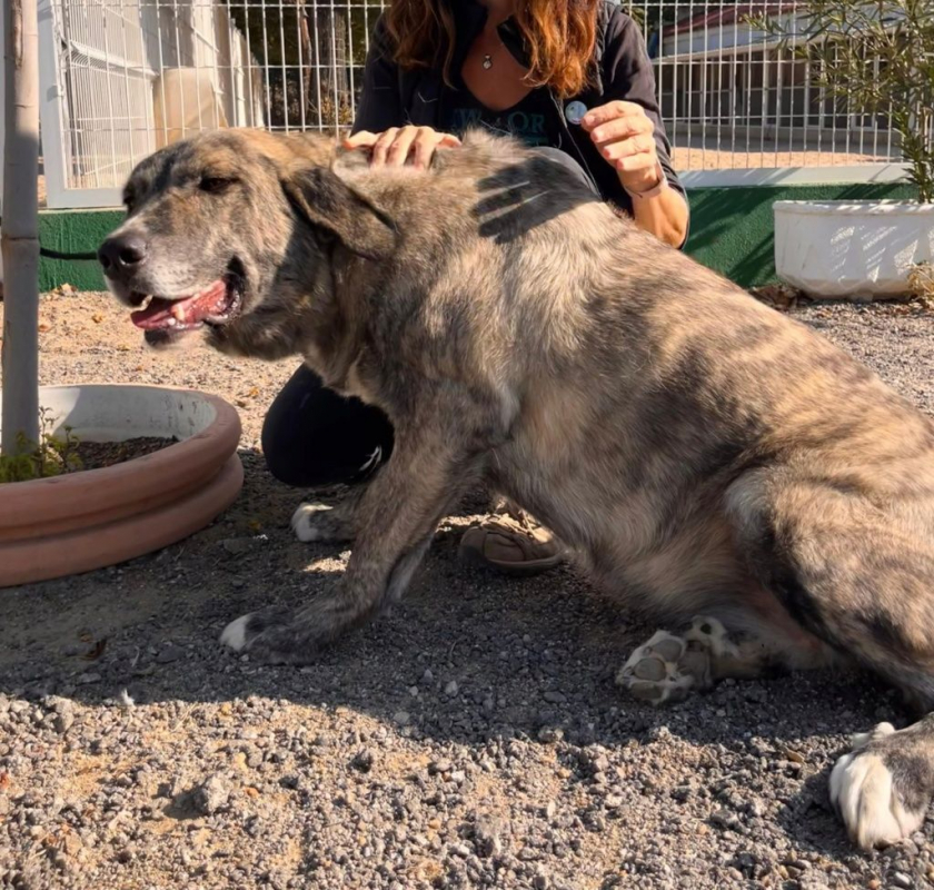 Photo #5 de VALENTINA