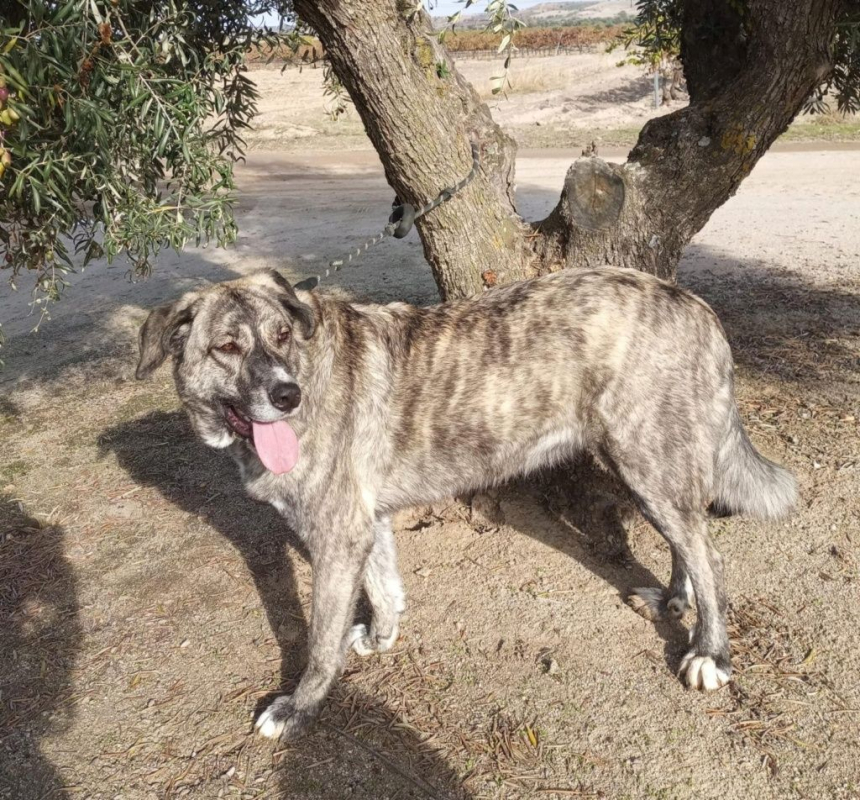 Photo #6 de VALENTINA