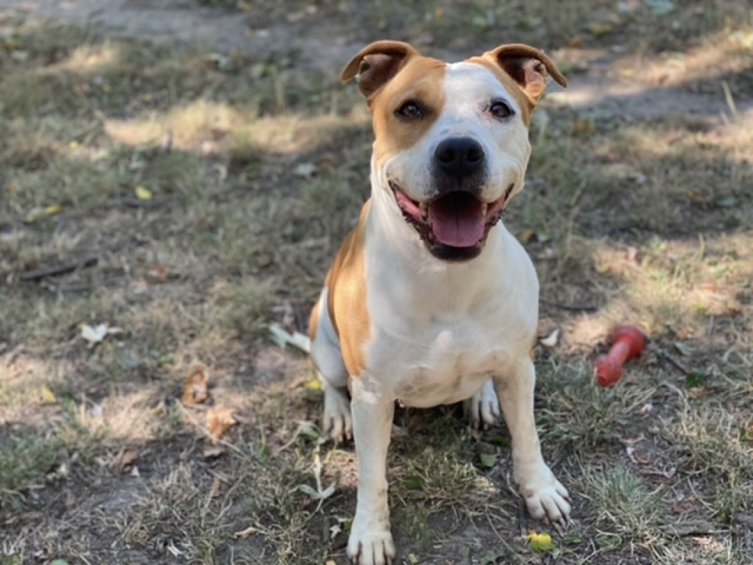 Photo #20 de MaÏnna