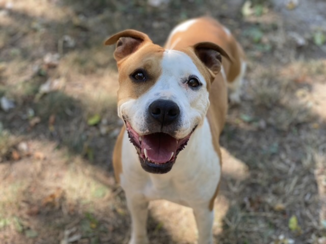 Photo #10 de MaÏnna