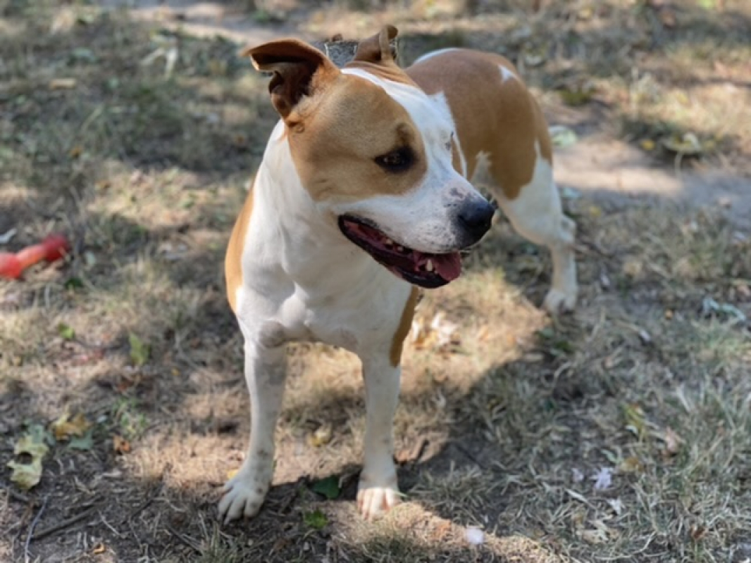 Photo #11 de MaÏnna