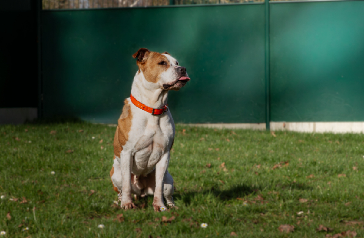 Photo #14 de MaÏnna