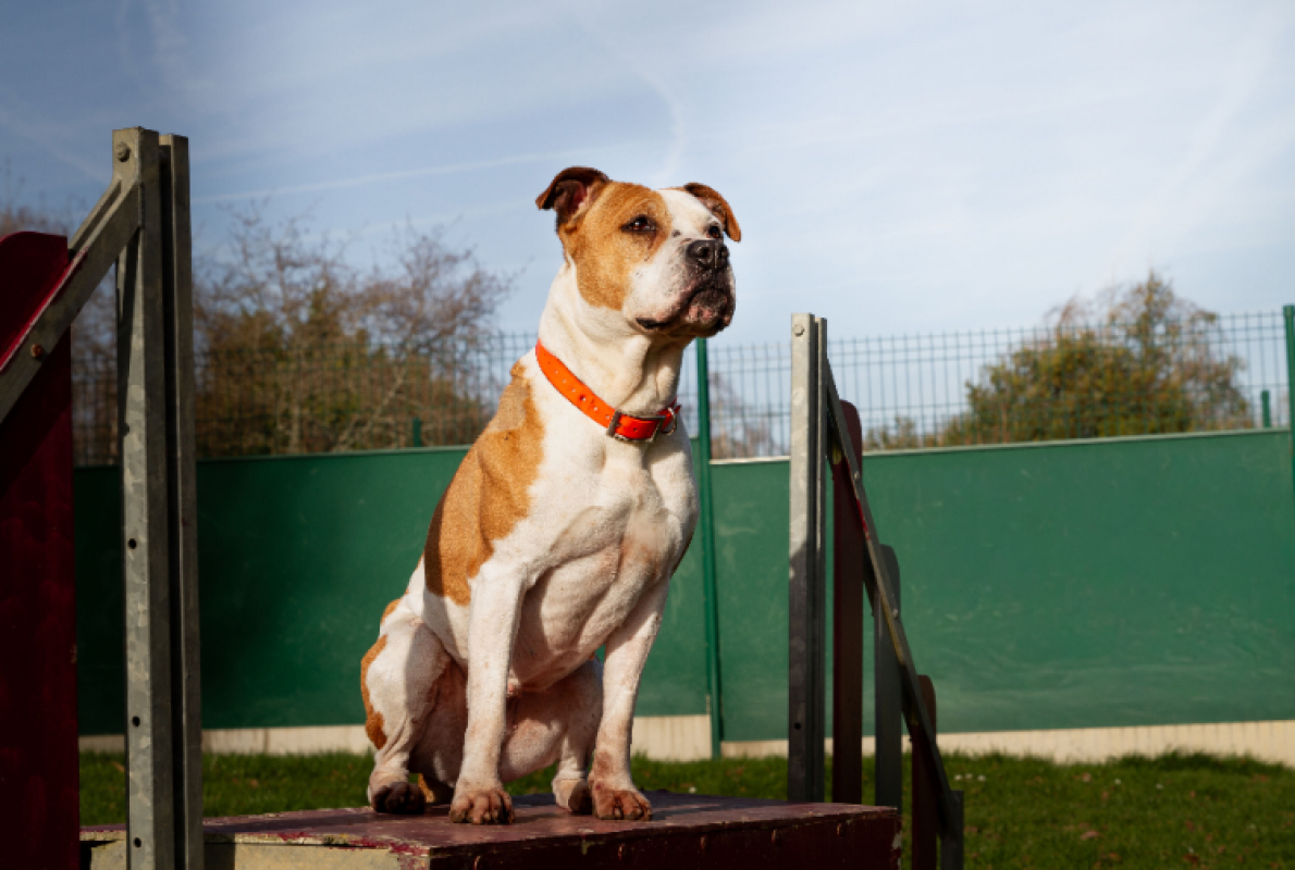 Photo #16 de MaÏnna