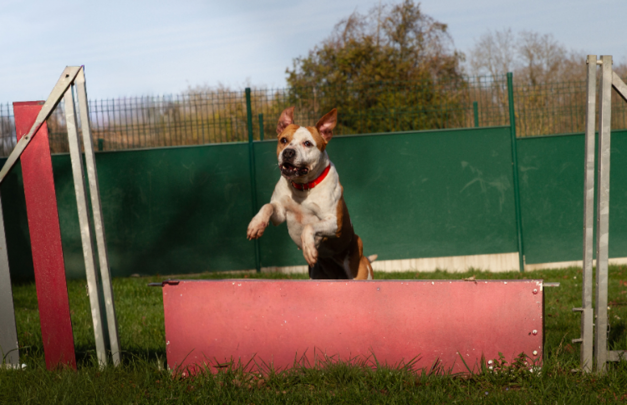 Photo #18 de MaÏnna