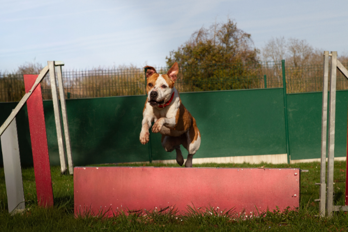 Photo #19 de MaÏnna