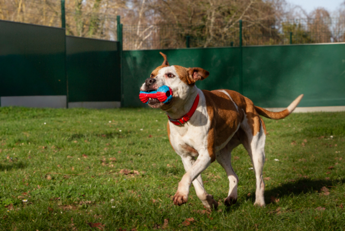 Photo #23 de MaÏnna